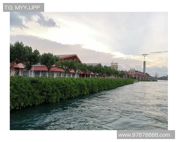 深圳飞盘队技术对比深度解析与其他队伍的优势与不足分析 深圳飞盘队技术对比深度解析与其他队伍的优势与不足分析